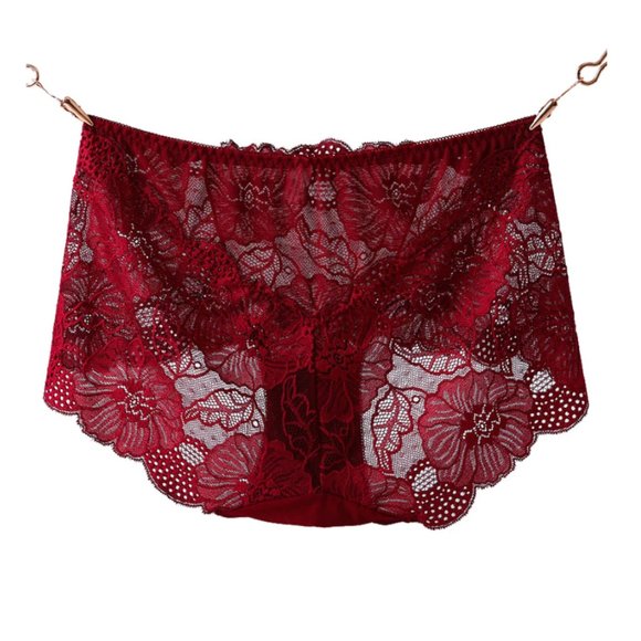 Lace Brief Panties - Picture 6 of 9